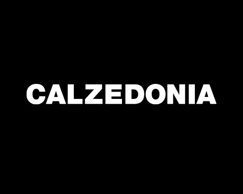 logo calzedonia neg